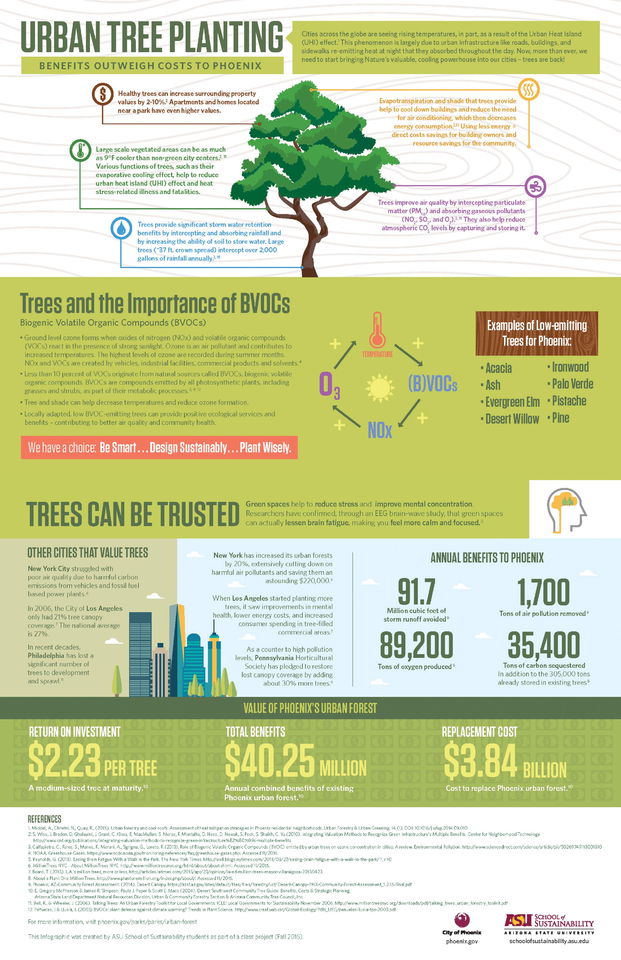 Parks And Recreation Learn About Phoenix's Urban Forest